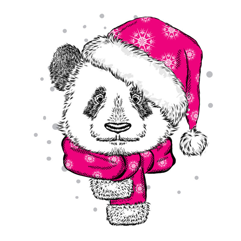 熊猫圣诞帽和围巾-卡片、海报或印在衣服上的矢量图-圣诞节和新年-冬天