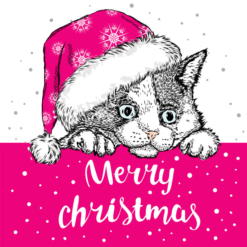 戴圣诞帽的可爱小猫-卡片或海报的矢量图-印在衣服上-圣诞图案-圣诞节-铭文