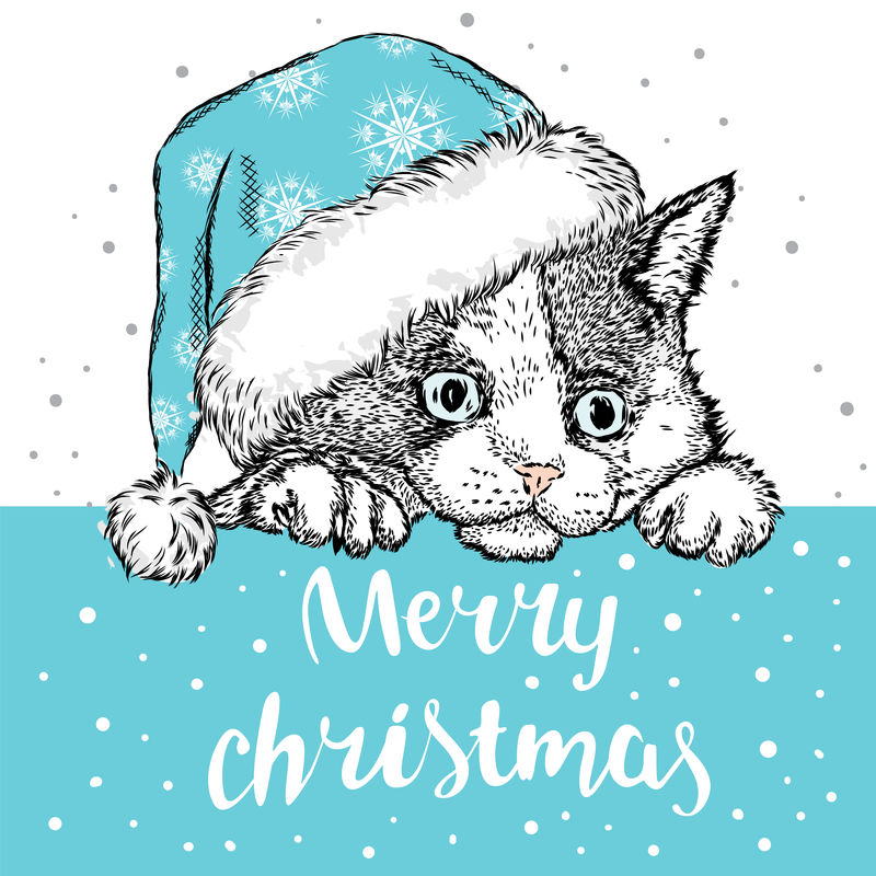 戴圣诞帽的可爱小猫-卡片或海报的矢量图-印在衣服上-圣诞图案-圣诞节-铭文