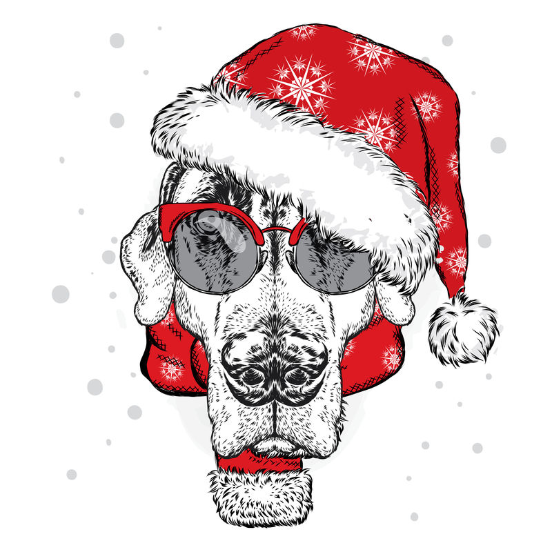 戴着圣诞帽和太阳镜的可爱小狗-卡片、海报或印在衣服上的矢量图-家谱犬-冬天、圣诞节和新年