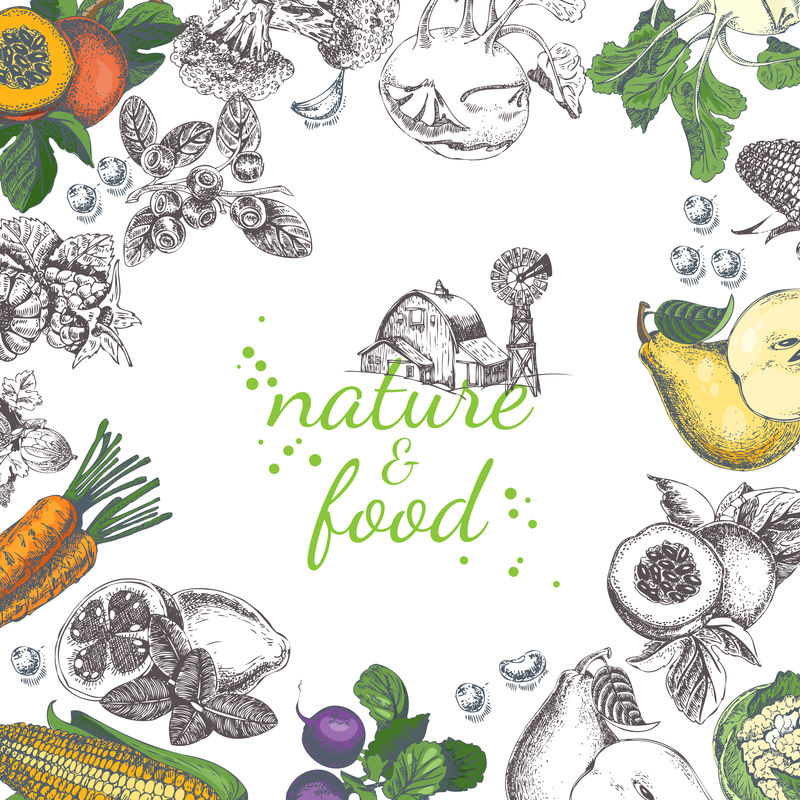 自然食物载体海报-复古框架与水果-蔬菜复古风格-草图背景