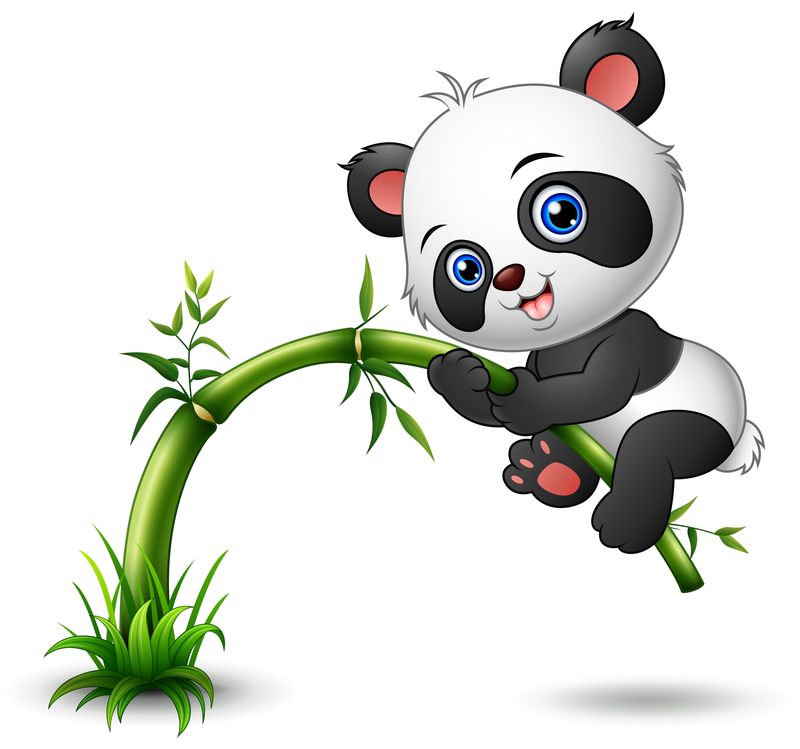 可爱熊猫宝宝爬竹矢量图