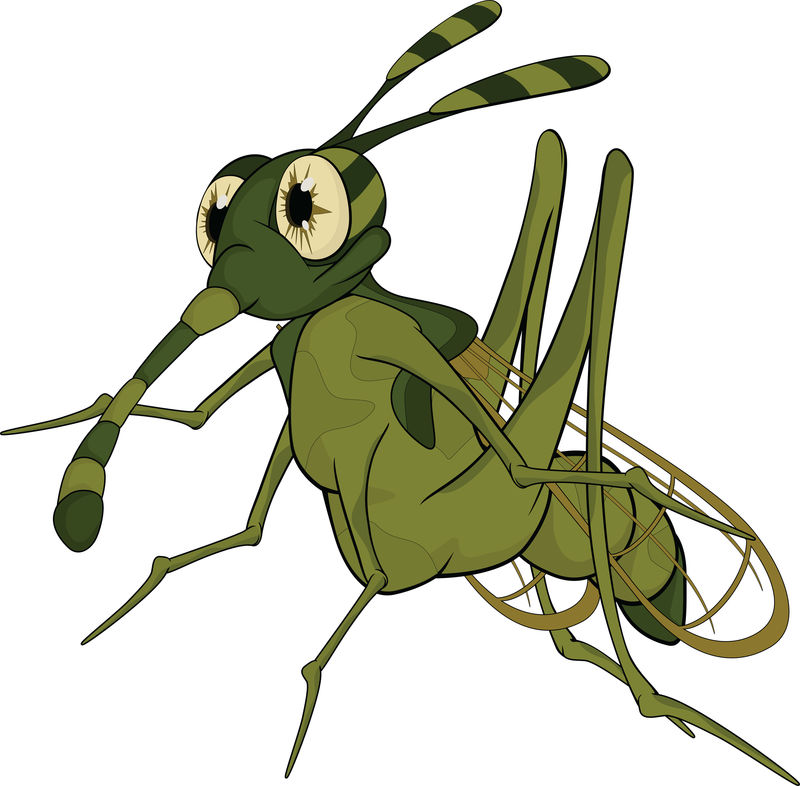 可怕的蚊子-卡通