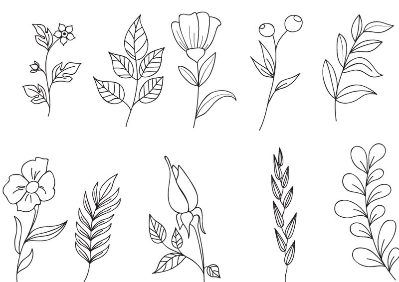 手工绘制的花枝、叶子和花束-植物界-矢量孤立元素-结婚请柬隔断