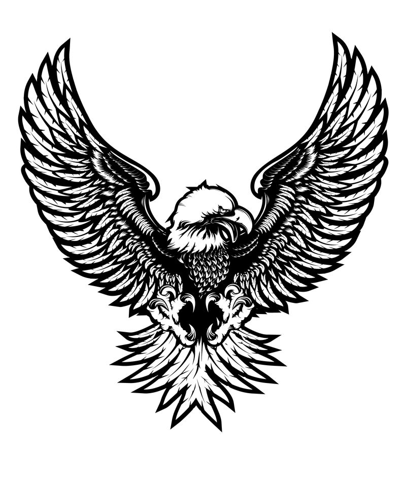 鹰矢量图-鸟-Eargle孤立在白色矢量图上-动力-爱国-独立性-世界的象征-飞鸟-爪-纹身-猎鹰的复古标志-鹰的翅膀