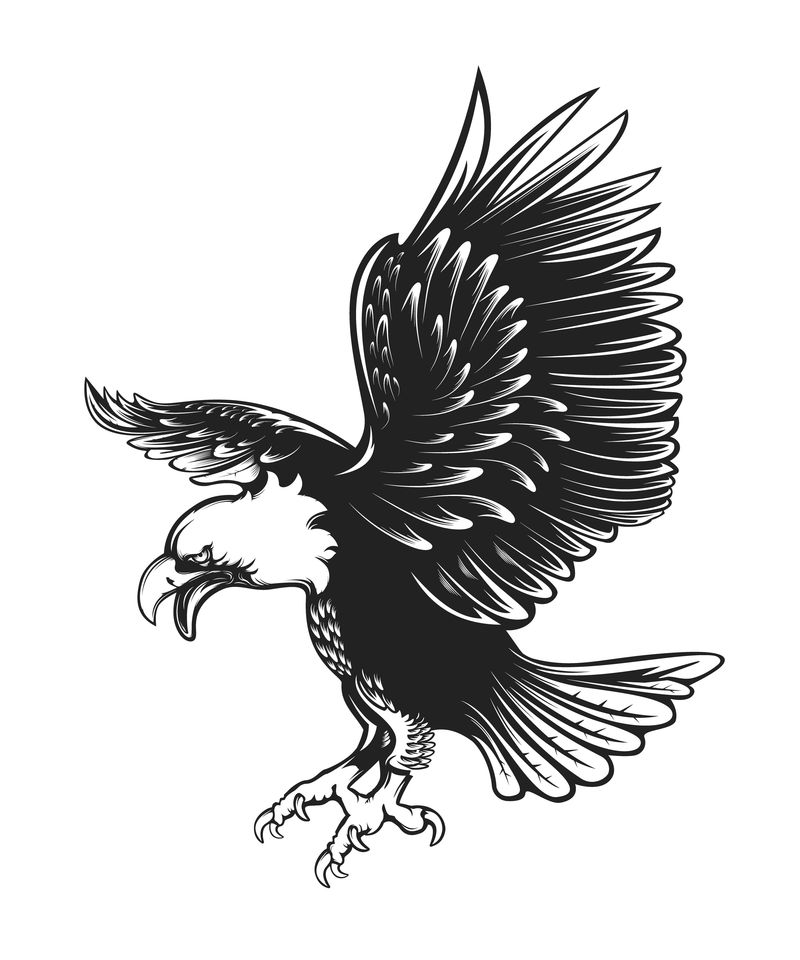 独立于白色矢量图上的鹰徽-世界自由的象征-猎鹰的复古彩色标志-Eagle详细标志