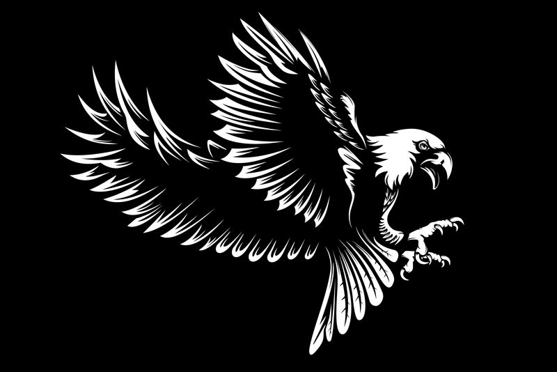 独立于白色矢量图上的鹰徽-世界自由的象征-猎鹰的复古彩色标志-Eagle详细标志