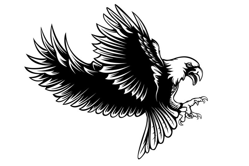 鹰矢量图-鸟-Eargle孤立在白色矢量图上-动力-爱国主义-独立性-世界自由的象征-飞鸟-爪-纹身-猎鹰的复古标志-鹰的翅膀
