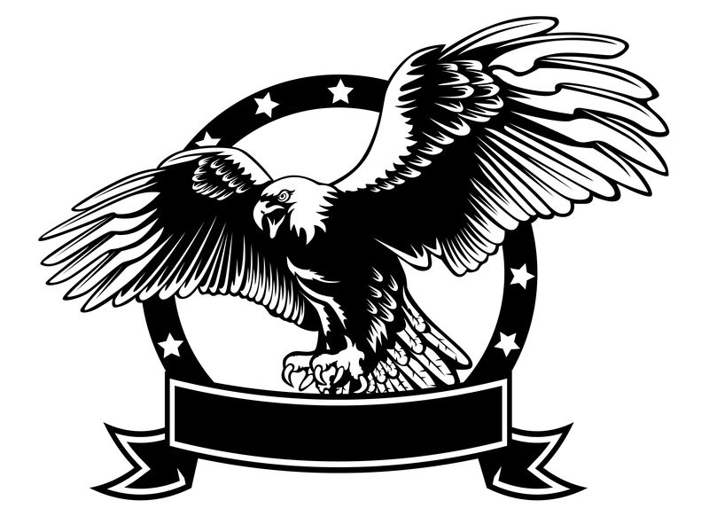 独立于白色插图上的鹰徽-美国鹰-象征自由和独立的鸟-猎鹰的复古彩色标志