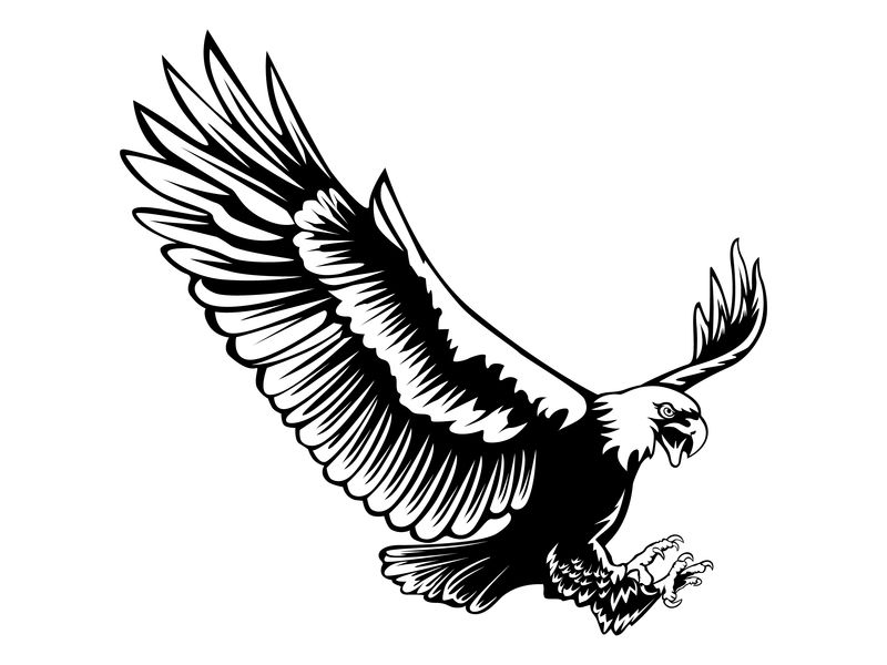 独立于白色插图上的鹰徽-美国鹰-象征和独立的鸟-复古色彩标志