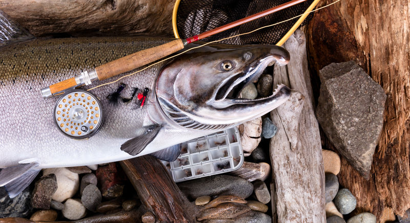 河床大型鳟鱼上层复古飞鱼捕捞设备