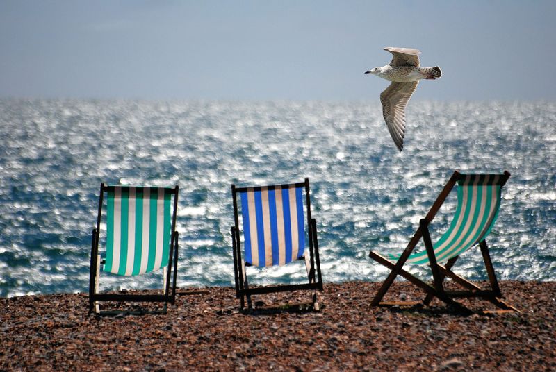 沙滩上的飞鸟椅