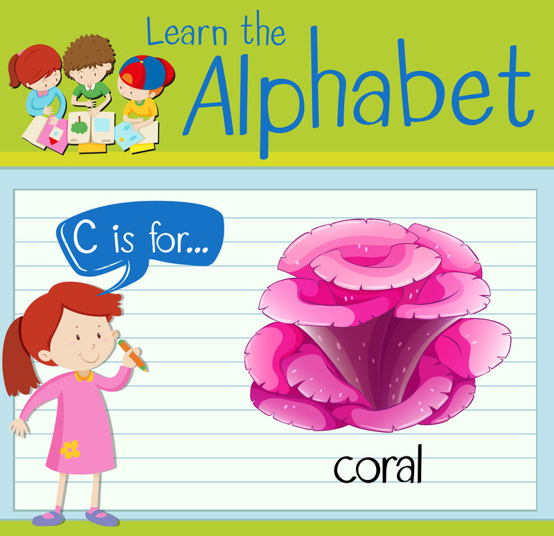 抽认卡字母C是给珊瑚的