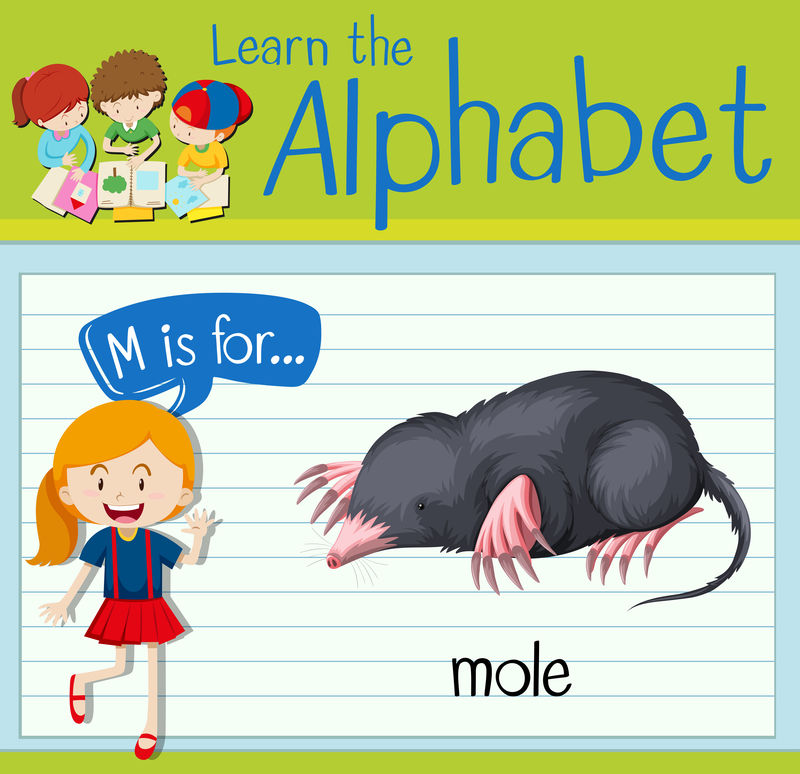 闪卡字母M代表鼹鼠