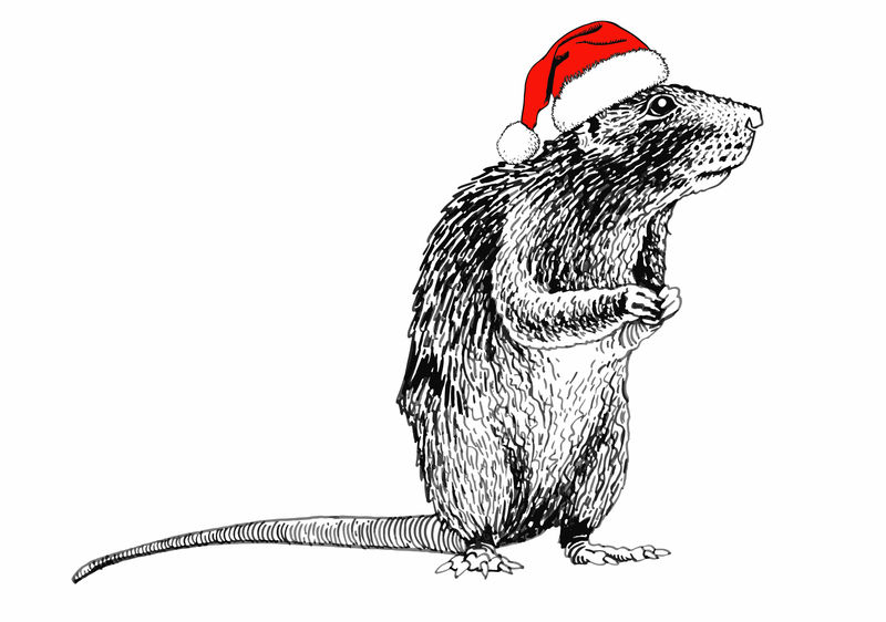 图白色圣诞帽上的老鼠-矢量新年插图