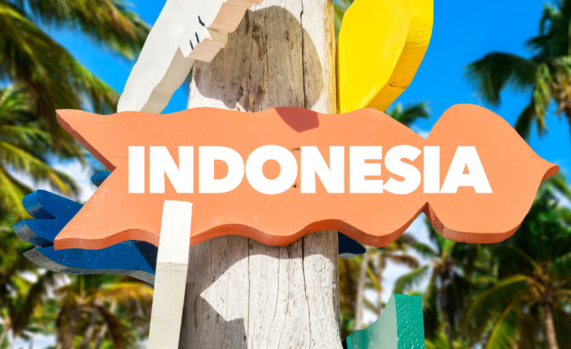 印度尼西亚标志，背景为棕榈树