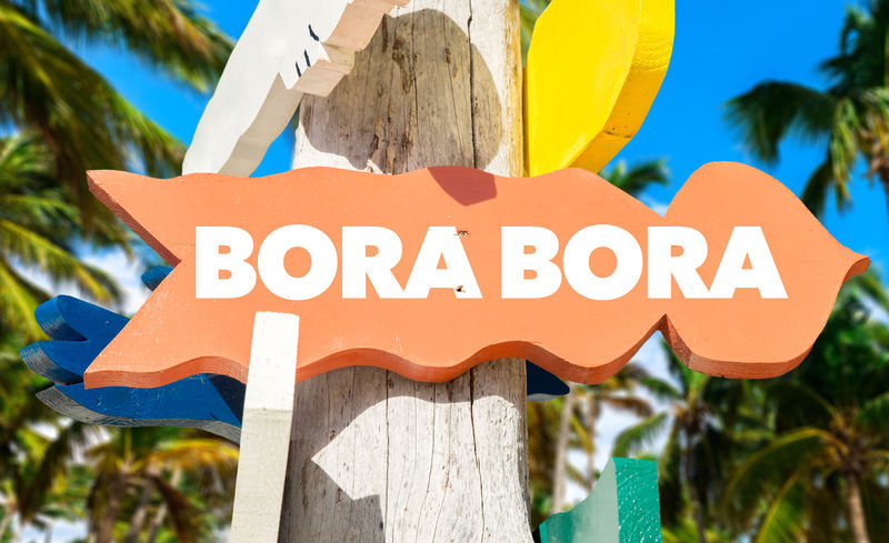 棕榈树博拉博拉欢迎标志