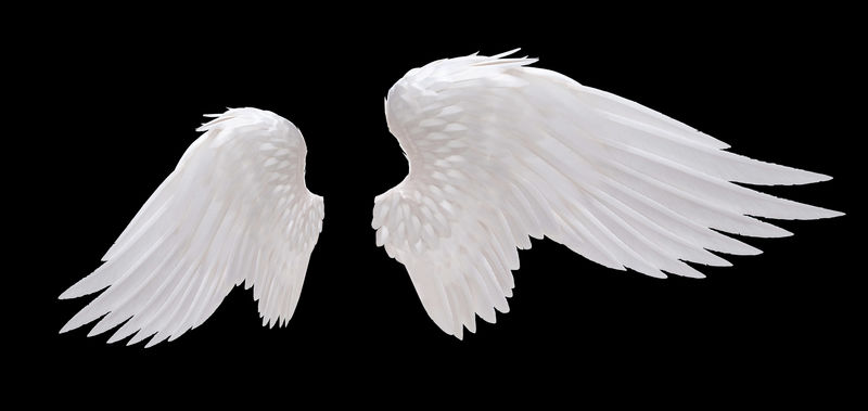 孤立的白色天使翅膀