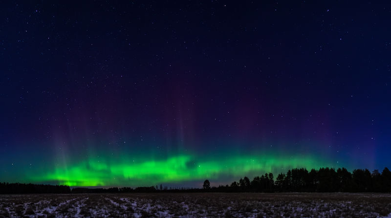 爱沙尼亚森林上空的北极光