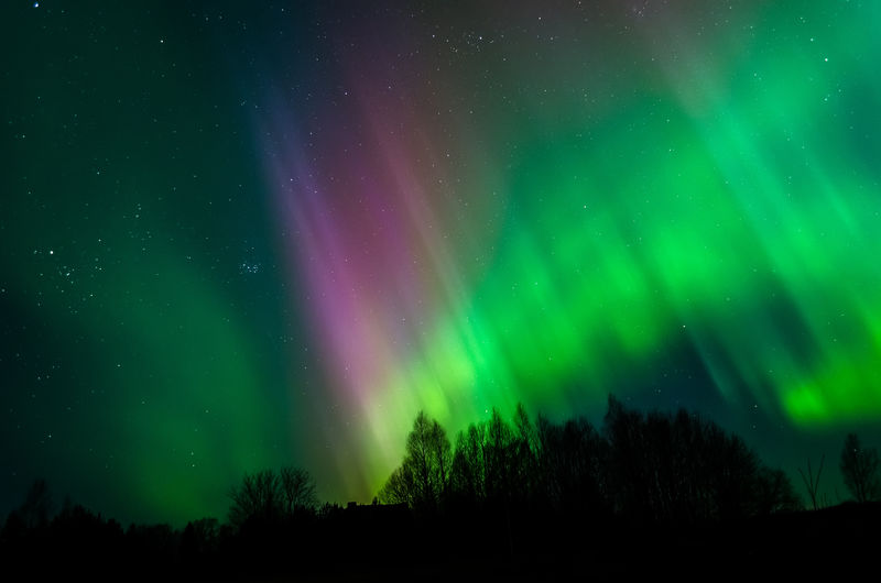 爱沙尼亚天空北极光的美丽照片