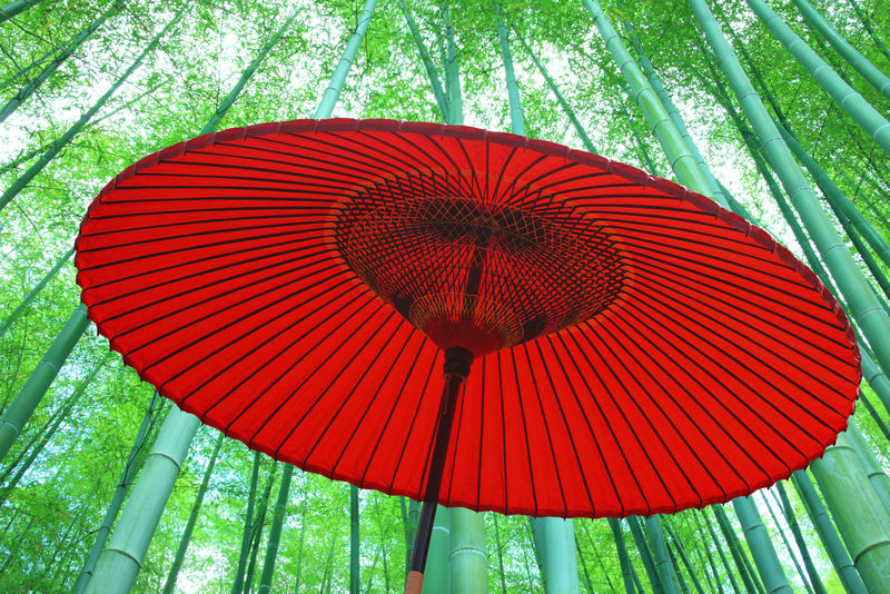 野点傘と竹