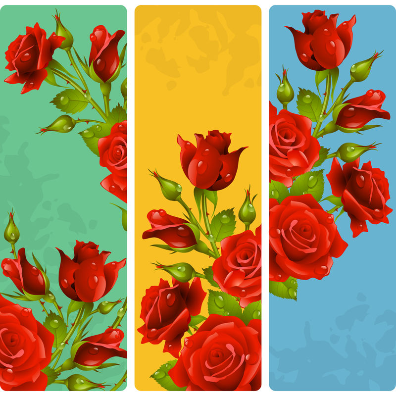 红玫瑰框架-花卉垂直横幅矢量集