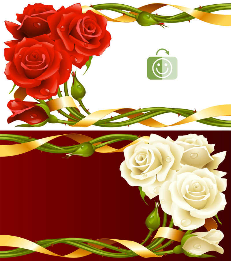 一组红玫瑰和白玫瑰与金色丝带交织在一起的矢量水平框架