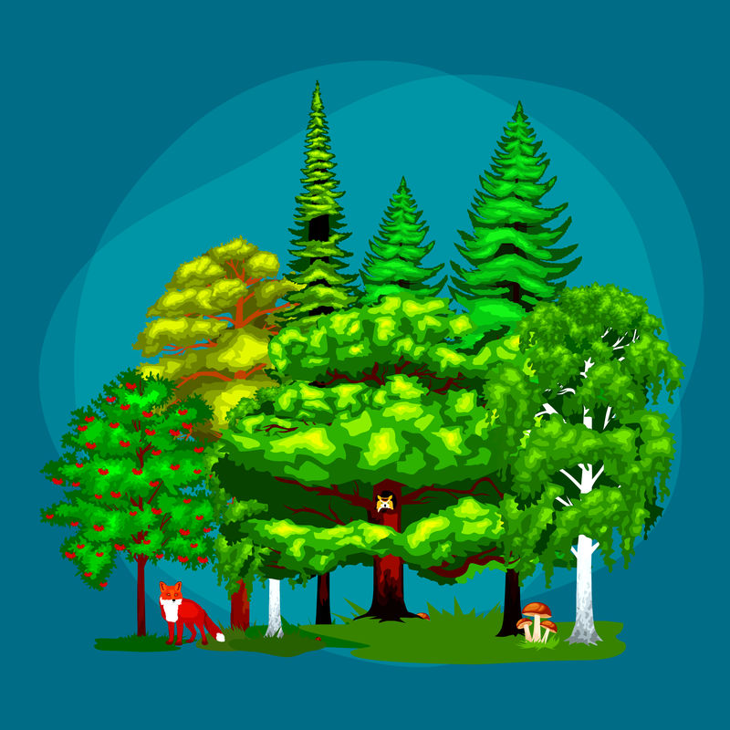夏绿林树木和野生小动物。卡通矢量树设置在户外公园。公园里的户外树木，有树枝、树叶和树叶。野生森林动植物。