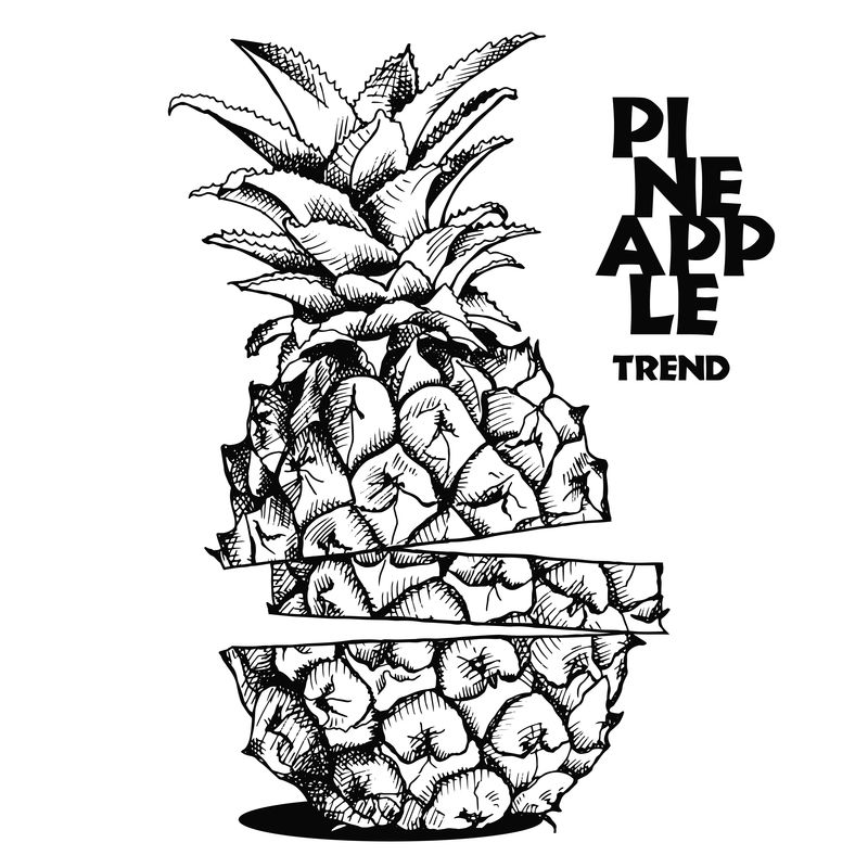 菠萝水果的图像切片-矢量黑白插图