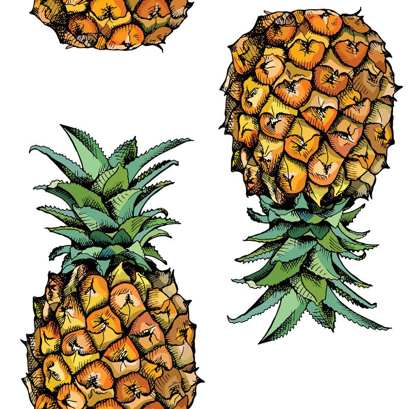 无缝图案与菠萝果的彩色图像-矢量图解