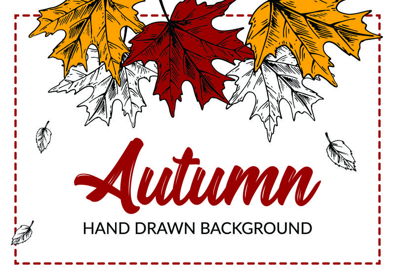 用彩色枫叶手工绘制的秋天背景。地平线