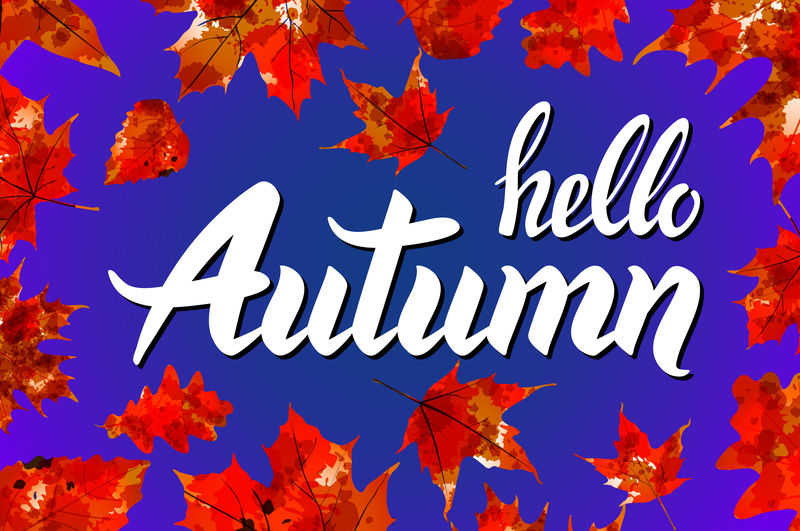 你好，秋。再见，夏天。潮流书法。秋叶背景矢量图。概念秋季广告。