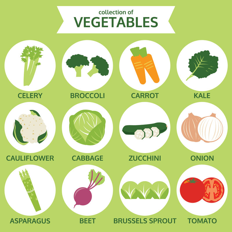 蔬菜收藏，食物矢量插图，图标设置