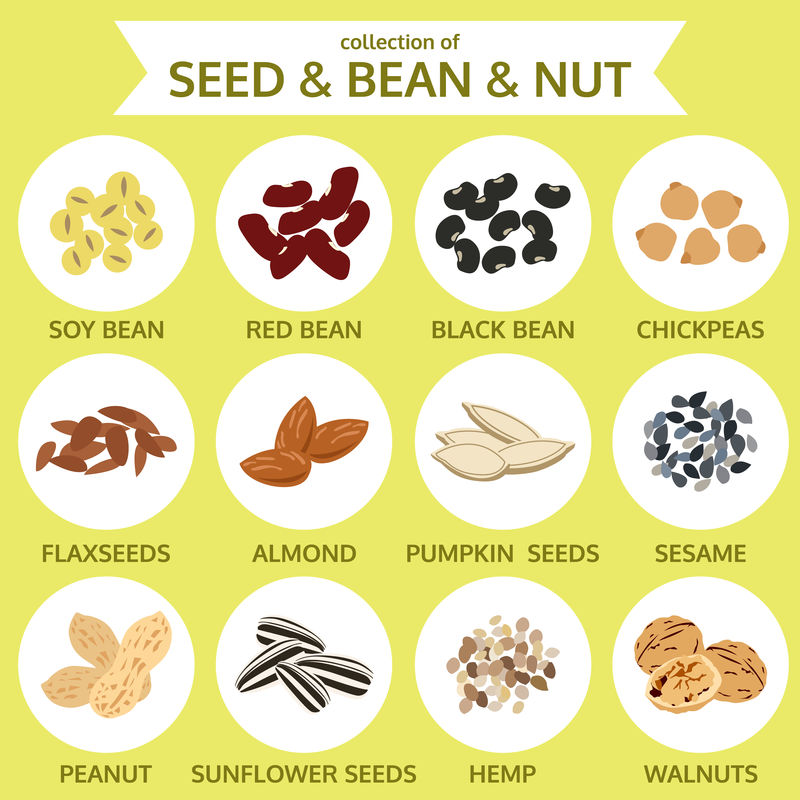 种子、豆类、坚果、食品图标矢量图