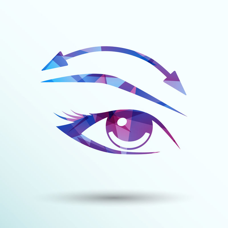 Eyelshes eyebrows vector eye icon makup