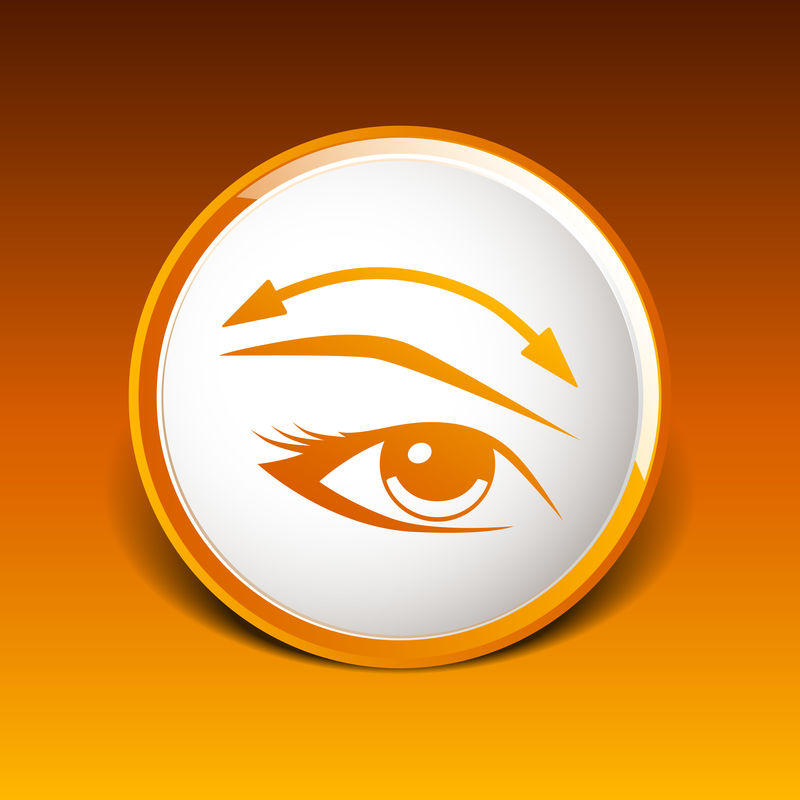 Eyelshes eyebrows vector eye icon makup