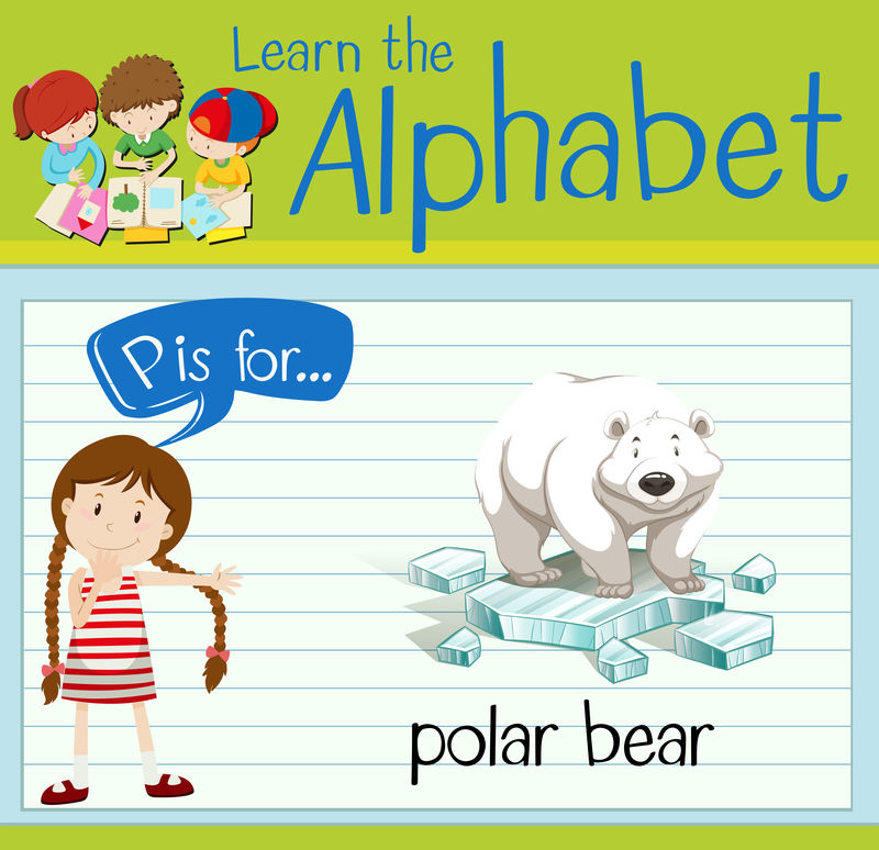 抽认卡字母P代表北极熊