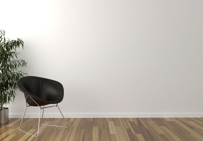 独奏黑椅子，室内植物和背景空白墙