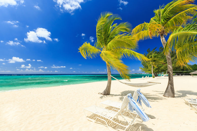 大开曼岛7英里海滩的沙滩椅和棕榈树