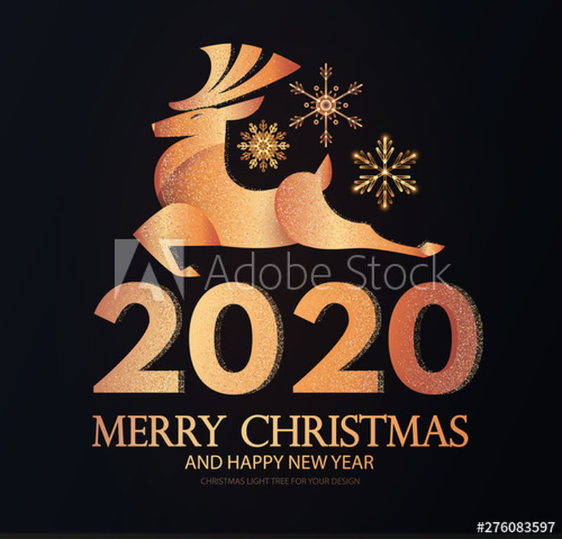 2020年新年快乐！优雅的金色假日标签-有跳跃的极客-数字和雪花