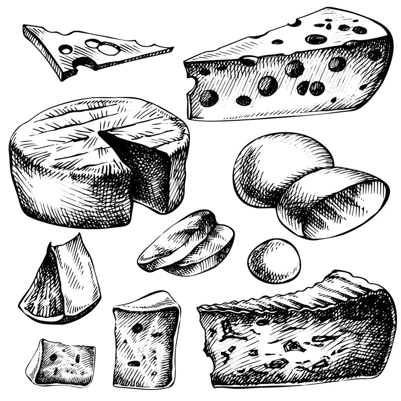 绘制奶酪套装-奶酪类型的手绘墨水插图-白色隔离