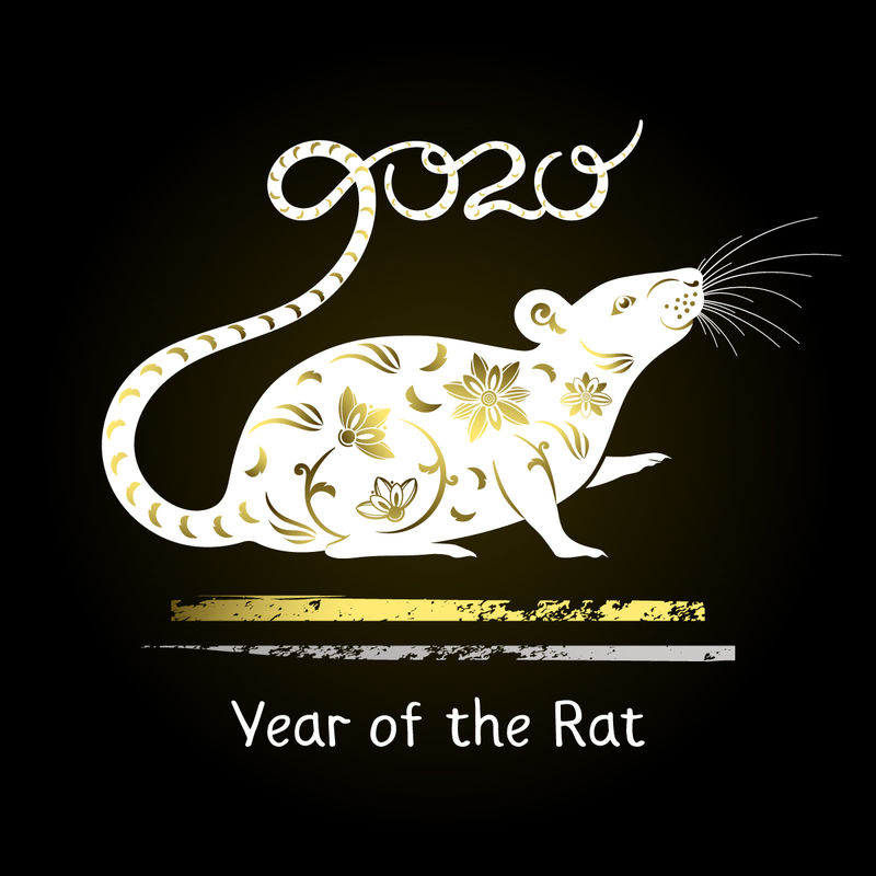 在黑色背景上装饰白鼠的年度象征