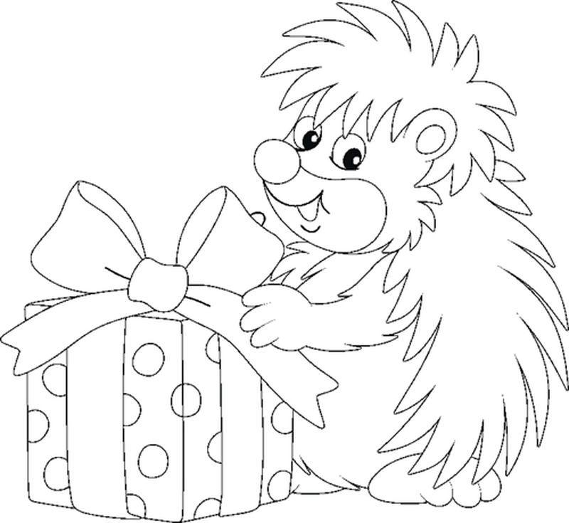 快乐友好的微笑小刺猬拿着一个漂亮的盒子-里面有节日礼物-黑白矢量卡通插图是一本彩色的书