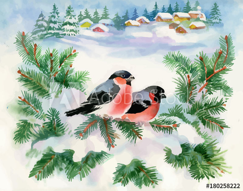 白雪树枝上的牛翅鸟-水彩插图