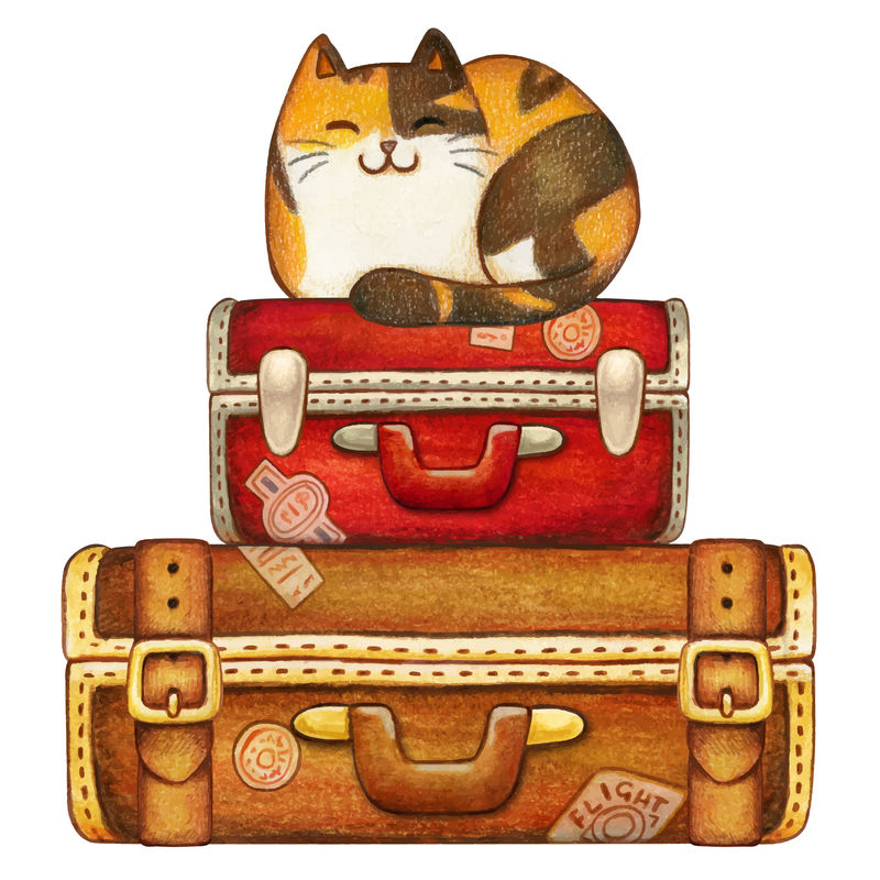 老式旅行箱上的水彩印花小猫