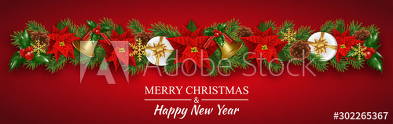 圣诞边境装饰花环与圣诞花一品红-金钟-冷杉枝-冬青浆果和礼品盒-红色背景的圣诞节和新年贺卡的设计元素-矢量