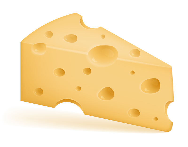 一块切有孔的奶酪股票矢量图矢量