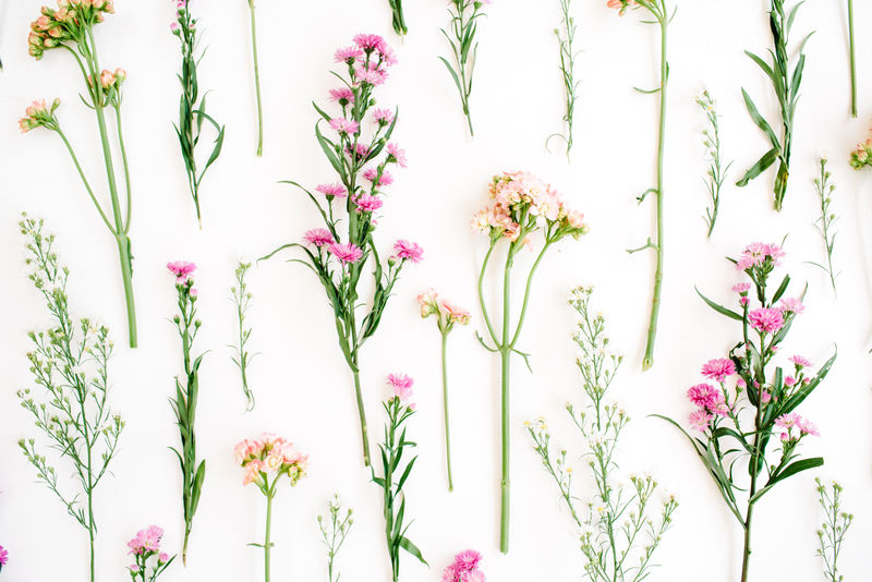 粉色和米色野花的花卉图案