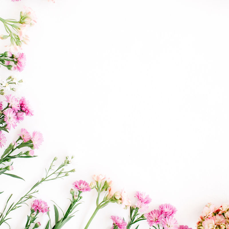 白色背景上的彩色野花-平放-俯视图-瓦伦丁的背景