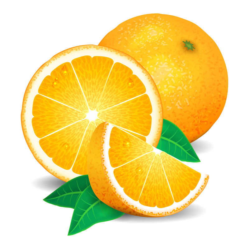 新鲜的橘子水果，橘子片。真实橘子，矢量